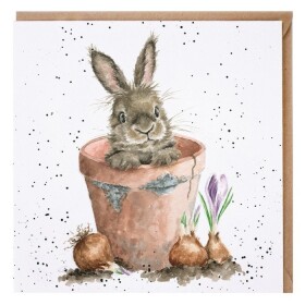 Přání Wrendale Designs The Flower Pot, 15x15 cm - Králík v květináči