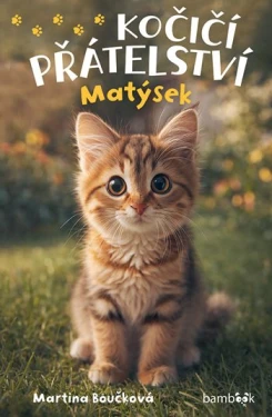 Kniha: Kočičí přátelství - Matýsek od Boučková Martina