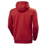 Helly Hansen Logo Hoodie 33977-163