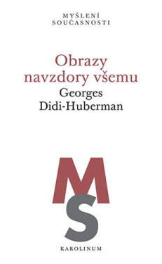 Obrazy navzdory všemu - Georges Huberman-Didi