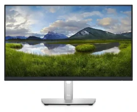 23.8" Dell / Monitor / IPS / FHD / 60Hz / HDMI + DP (P2422HE)