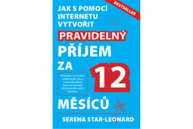 Pravidelný příjem za 12 měsíců