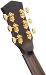 Cort Gold MC6 Ovangkol NAT