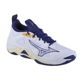 Boty Mizuno Wave Momentum V1GA231243