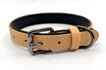 Pasco kožený obojek pro psa | 24 - 43 cm Barva: Oranžová, Obvod krku: 34 - 43 cm, Šířka: 2,5 cm