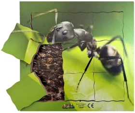 Just Jigsaws 646 Mravenec a jeho životní cyklus - dřevěné vrstvené puzzle