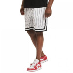 Karl Kani Small Signature Pinstripe Mesh Shorts M 6014921 L