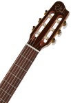 Godin Motif