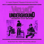 The Velvet Underground: A Documentary Film By Todd Haynes (CD) - Various Artists