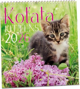 Nástěnný kalendář ARIA 2026 - Koťata
