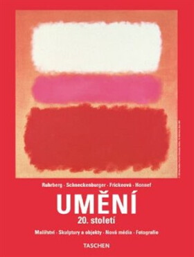 Umění 20. století - Malířství, skulptury a objekty, nová média, fotografie - 2. vydání - kolektiv autorů