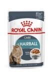 Royal canin Hairball Care