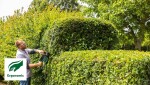 Elektrické nůžky na živý plot Bosch AdvancedHedgeCut 70 06008C0903