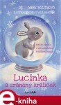 Lucinka a zraněný králíček - Anne Bootheová e-kniha