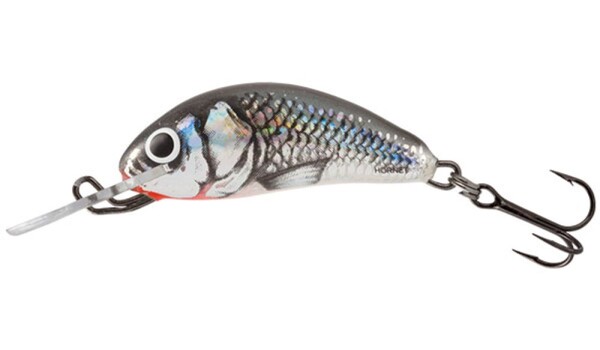 Salmo Wobler Hornet Floating 5cm - Holographic Grey Shiner,Salmo Wobler Hornet Floating 5cm - Holographic Grey Shiner
