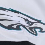 Mitchell & Ness Pánský dres Philadelphia Eagles NFL DeSean Jackson #10 2009 Legacy Throwback Velikost: M
