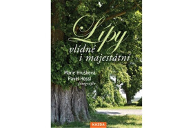 Lípy vlídné majestátní