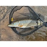 Fencl Originální náhradní pogumovaná podběráková síť 240 x 90cm,Fencl Originální náhradní pogumovaná podběráková síť 240 x 90cm