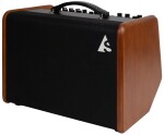 Godin Acoustic Solutions ASG-8 120 Wood
