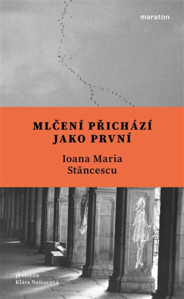 Mlčení přichází jako první - Ioana Maria Stăncescu