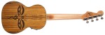 Fender Dhani Harrison Uke WN SB