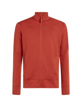 ICEBREAKER Mens Merino 260 Quantum IV LS Zip, Agate velikost: S