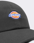 Dickies Hardwick BLACK