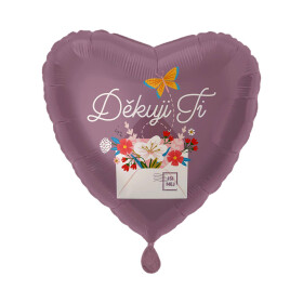 17" DĚKUJI TI - Albi