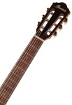 Ibanez AEG50N Natural