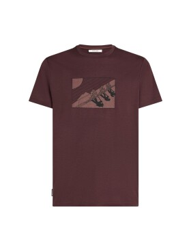 ICEBREAKER Mens 150 Tech Lite SS Tee Wild Pack, Java velikost: XL