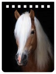 Zápisník 3D - Haflinger A7