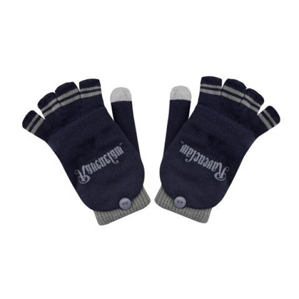 Harry Potter Palčáky Havraspár