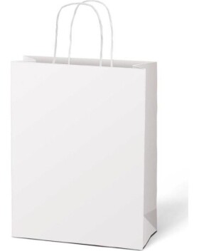 Taška dárková T 5 kraft 260x320x100 bílá