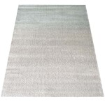 DumDekorace Moderní koberec s ombré efektem Šířka: 120 cm | Délka: 170 cm