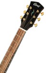 Cort Gold OC6-Bocote NAT