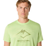 Asics Fujitrail Logo SS Top M 2011C981-30 tričko pánské XL
