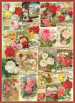 EUROGRAPHICS Puzzle Katalog semínek: Růže