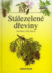 Stálezelené dřeviny