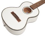 Lanikai JMS-AWT2