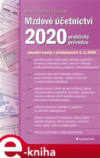 Mzdové účetnictví 2020. praktický průvodce - Václav Vybíhal e-kniha