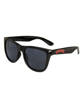 Santa Cruz Collegiate Strip black sluneční brýle