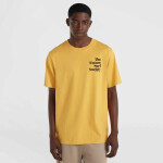 Tričko O'Neill Future Surf Society M 92800613523 L