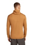 ICEBREAKER Mens 560 Realfleece Elemental II LS Zip Hood, Trail (vzorek) velikost: M