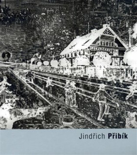 Jindřich Přibík (poškozená) - Pavel Vančát