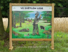Stolný biotop s magnetmi - Svetlý les SK