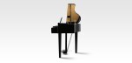 Kawai DG30
