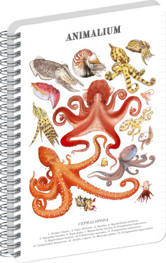 Spirálový blok Animalium - Hlavonožci, linkovaný, A4