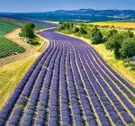 Nástěnný kalendář 2025 Provence