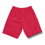 Mitchell & Ness Pánské kraťasy Miami Heat NBA 1996-97 Swingman Shorts - Červená Velikost: 2XL