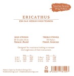 Knobloch ERITHACUS Double Silver SN Nylon Full Set Medium-High Tension